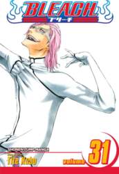 Bleach, Vol. 31
