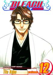 Bleach, Vol. 12