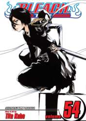 Bleach, Vol. 54