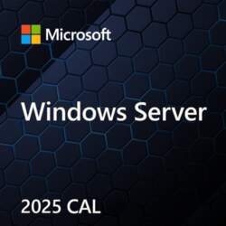 Microsoft Windows Server CAL 2025 –