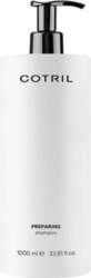 Cotril Technical shampoo color stabilizer SEALER