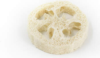 Solidu Solid shampoo tray