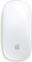 Apple Magic mouse Office Ambidextrous Bluetooth