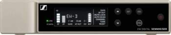 Mikrofono imtuvas Sennheiser EW-D EM (Q1-6)