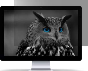 NATEC PRIVATIZING FILTER OWL 27" 16:9