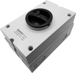 BENY AC Isolator Switch - 2P
