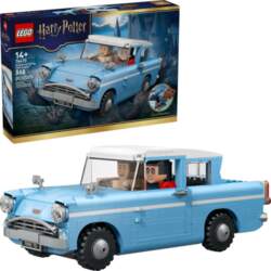 LEGO Blocks Harry Potter 76470 Enchanted