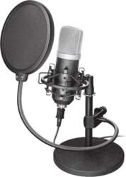 MICROPHONE GXT 252 EMITA/21753 TRUST |
