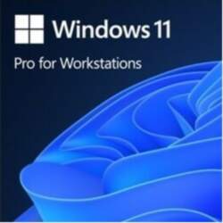 Microsoft OEM Windows 11 Pro for