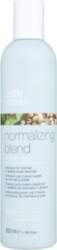 Milk Shake - Normalizing Blend Shampoo