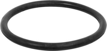 O-Ring bauer 194mm
