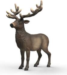 Briedis Schleich