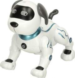 Robots suns RC, balts