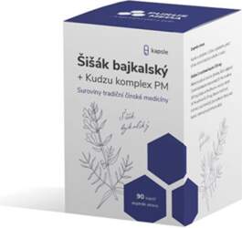 Baikal cone + Kudzu complex PM
