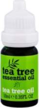 Xpel Tea Tree 100% Pure Tea