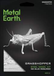 Grasshopper