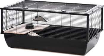 INTER-ZOO Bob + Wood black -