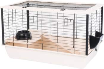 INTER-ZOO Bunny 80 De Luxe -