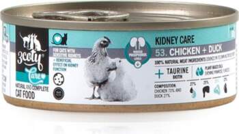 3coty  Chicken with duck Kidney care