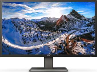 Philips P Line 439P1/00 computer monitor