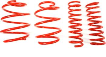MTS TECHNIK Lowering Springs Set for