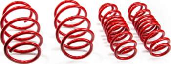 MTS TECHNIK Lowering Springs Set for