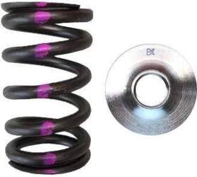 Brian Crower SR20DE/DET Single Spring &