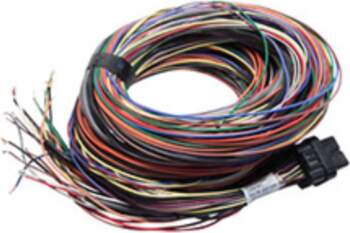LINK ECU B Loom Long (5LB)