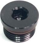 Radium Engineering 10AN ORB Plug -