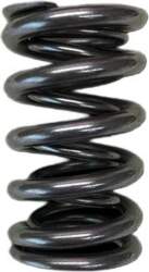 Dual Valve Spring BC Brian Crower