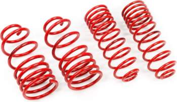 MTS TECHNIK Lowering Springs Set for