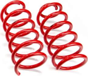 MTS TECHNIK Rear Lowering Springs for