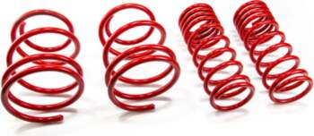MTS TECHNIK Lowering Springs Set for