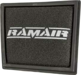 Ramair Air Filter for Ford Transit
