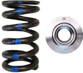 Brian Crower RB26DETT Single Spring &