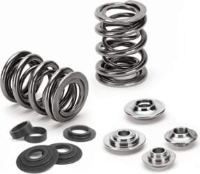 SUPERTECH Dual Spring Valve Kit for