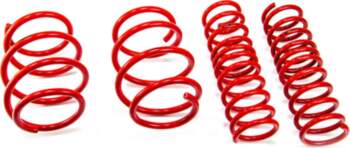 MTS TECHNIK Lowering Springs Set for