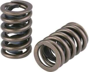 SUPERTECH High-Performance Valve Spring Kit for