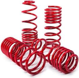 MTS TECHNIK Lowering springs MTS Ford
