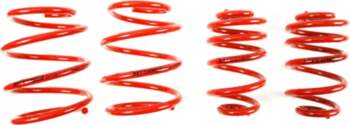 MTS TECHNIK Lowering Springs Set for