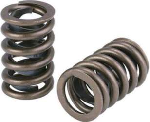 Supertech M50/M52/M54 Double Valve Spring Set