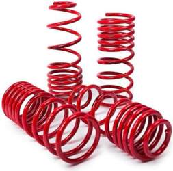 MTS TECHNIK 30mm Lowering Springs for
