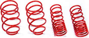 MTS TECHNIK Lowering Springs Set for