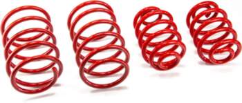 MTS TECHNIK Lowering Springs Set for