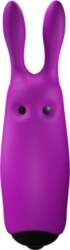 ADRIEN LASTIC - LASTIC POCKET VIOLET