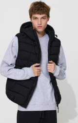 House Stepēta veste