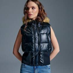 House Stepēta veste