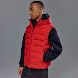 House Stepēta veste