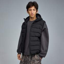House Stepēta veste