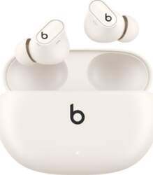 Apple STUDIO BUDS + TRUE WL